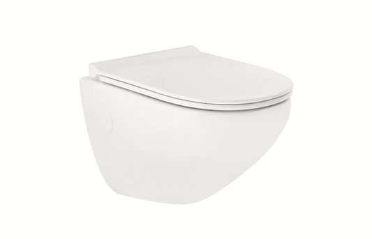 Cardiff Wall Hung WC with Slim S&C MAMTA MARBLES