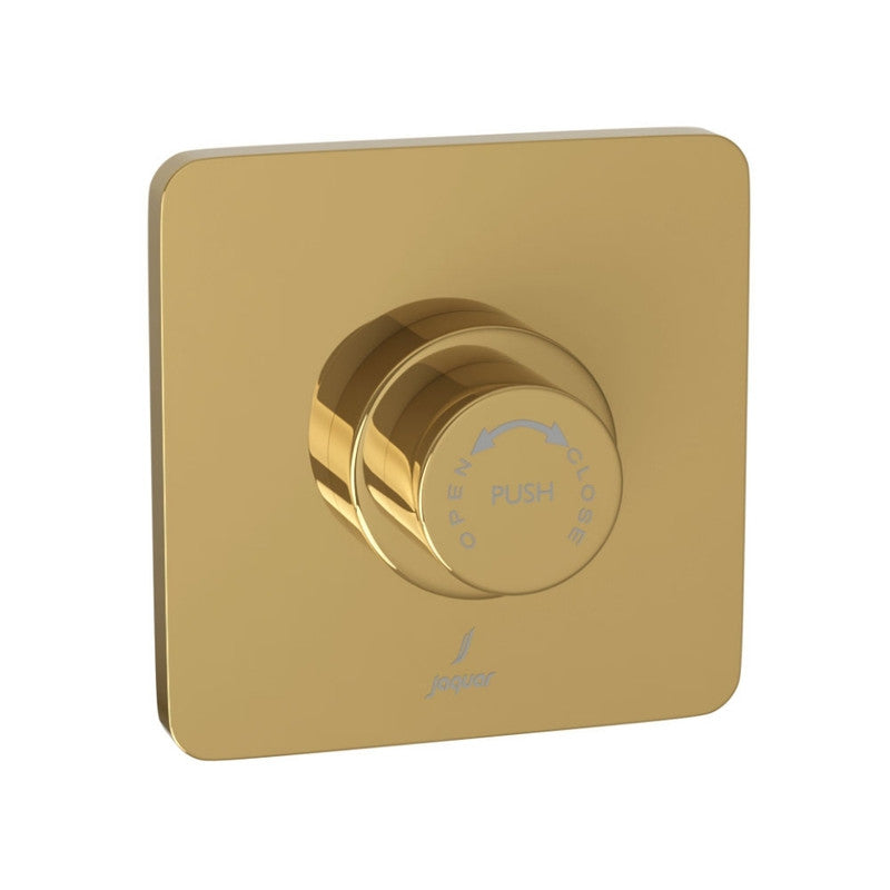 Metropole Flush Valve Regular 40mm Size (Concealed Body) MAMTA MARBLES