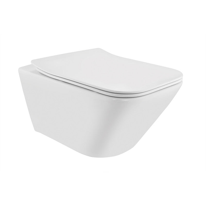 Rimless Blind Installation Wall Hung WC MAMTA MARBLES