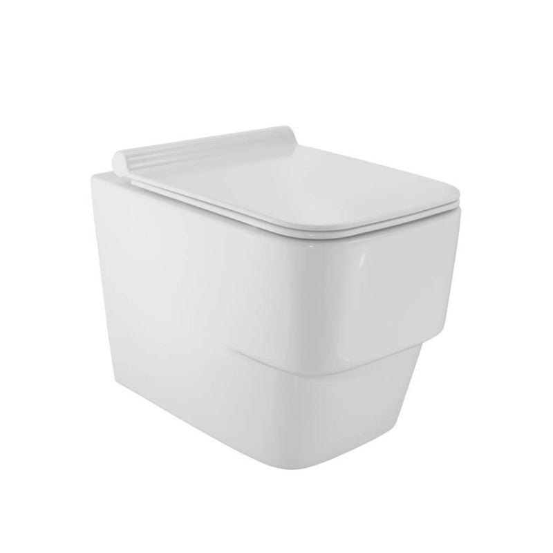 Rimless Blind Installation Wall Hung WC MAMTA MARBLES