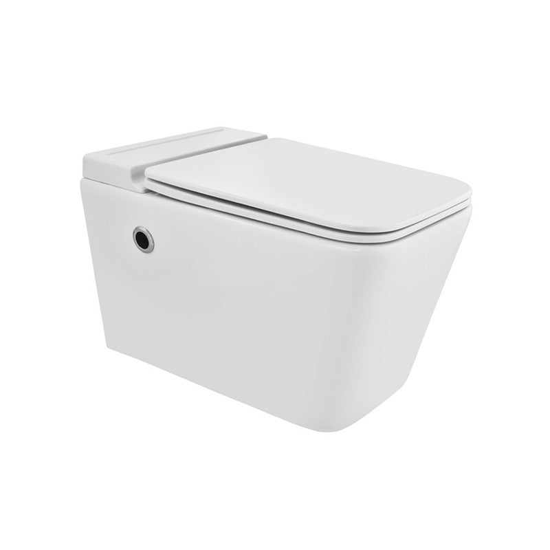 Tankless Wall Hung WC MAMTA MARBLES